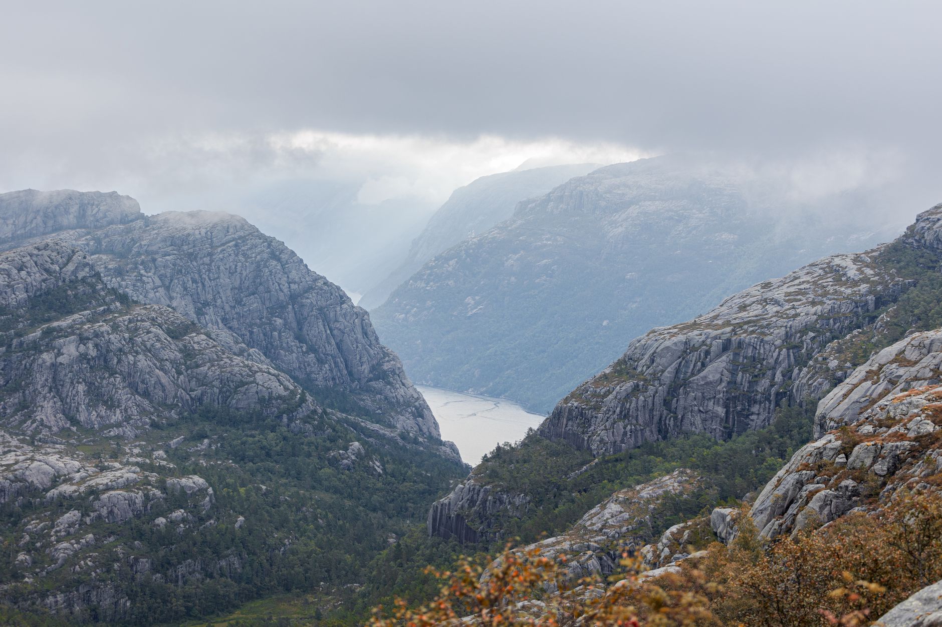 Norwegian Fjords